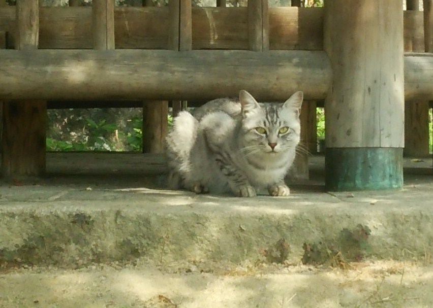 f:id:tarojiroko:20160803093815j:plain