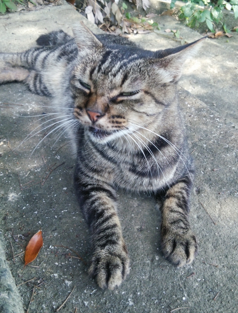 f:id:tarojiroko:20160806094308j:plain