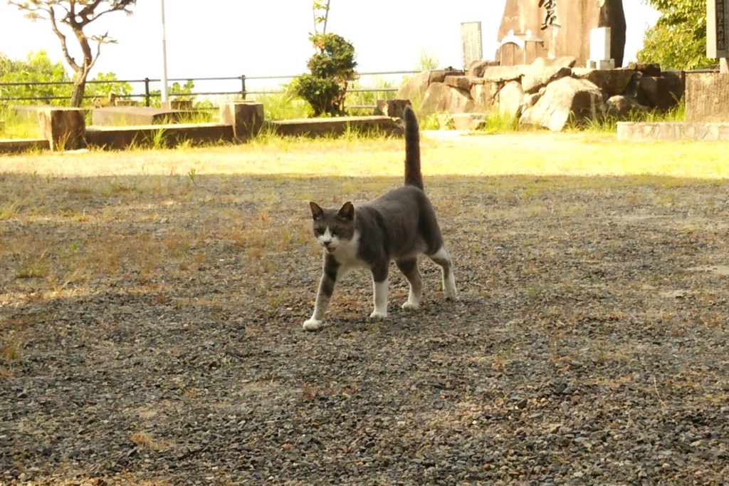 f:id:tarojiroko:20160814091933j:plain