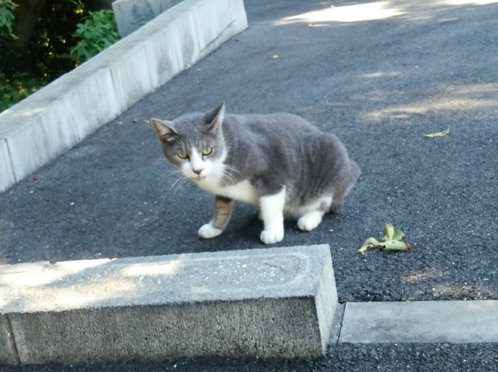 f:id:tarojiroko:20160823093828j:plain