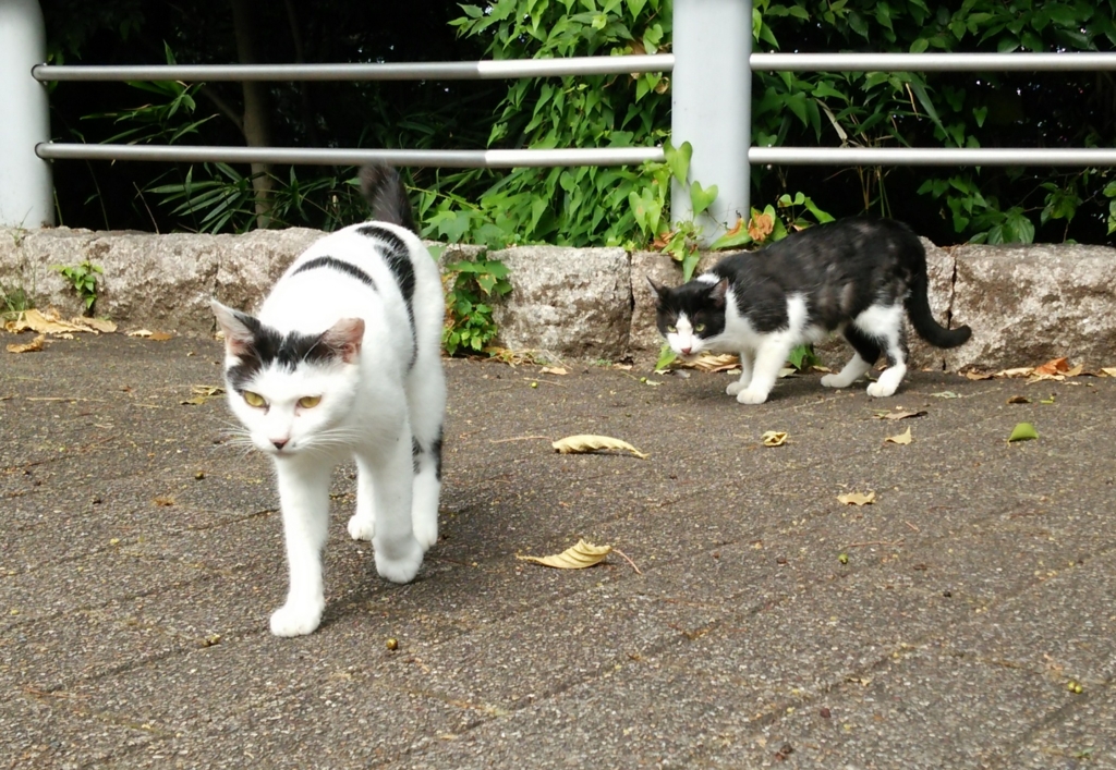 f:id:tarojiroko:20160824093931j:plain f:id:tarojiroko:20160824093931j:plain