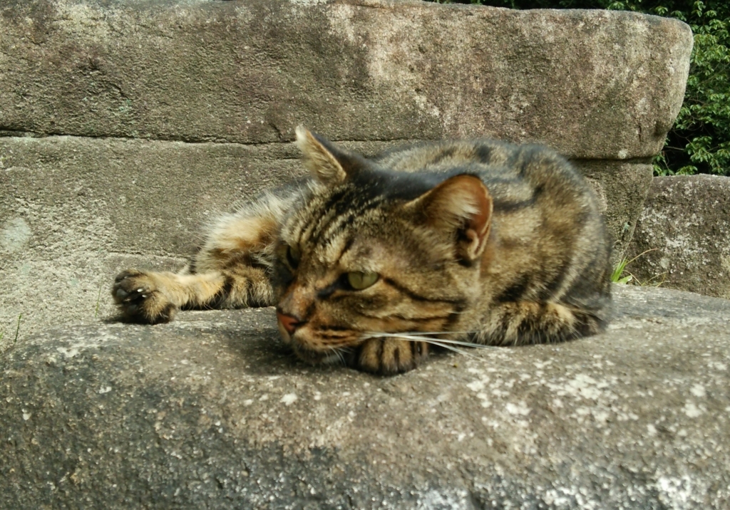 f:id:tarojiroko:20160824095424j:plain f:id:tarojiroko:20160824095424j:plain