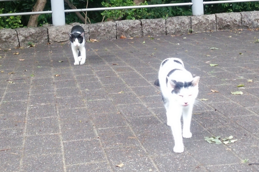 f:id:tarojiroko:20160828100106j:plain