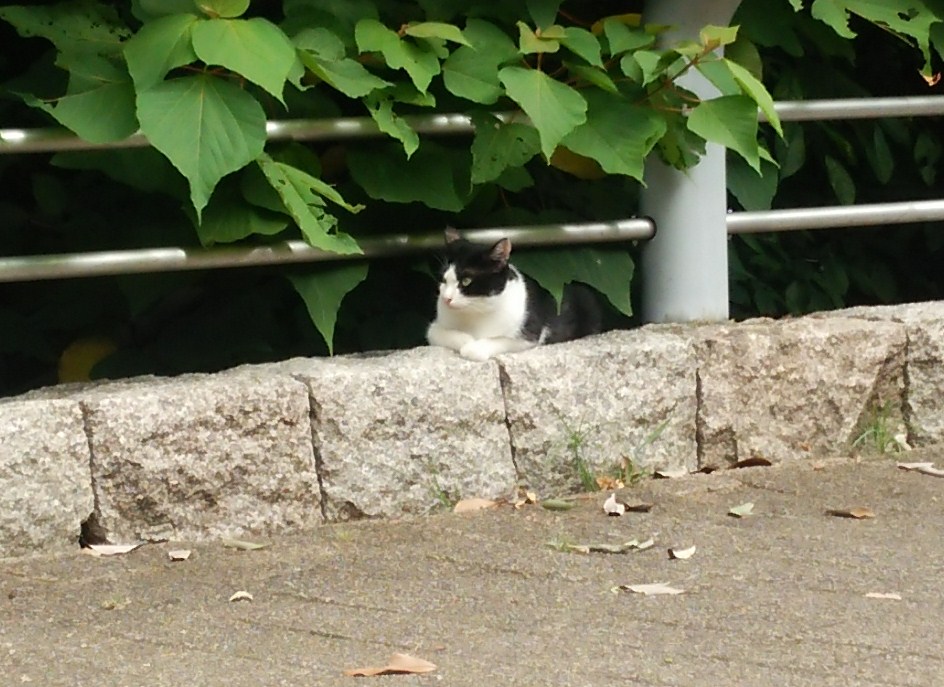 f:id:tarojiroko:20160828101232j:plain