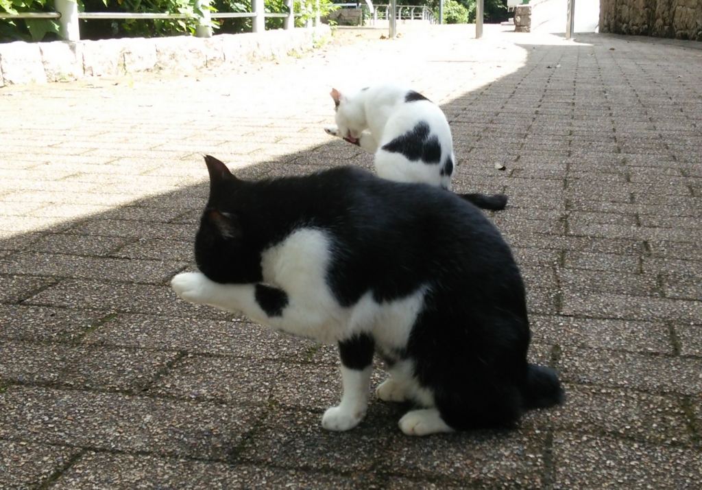 f:id:tarojiroko:20160829103341j:plain