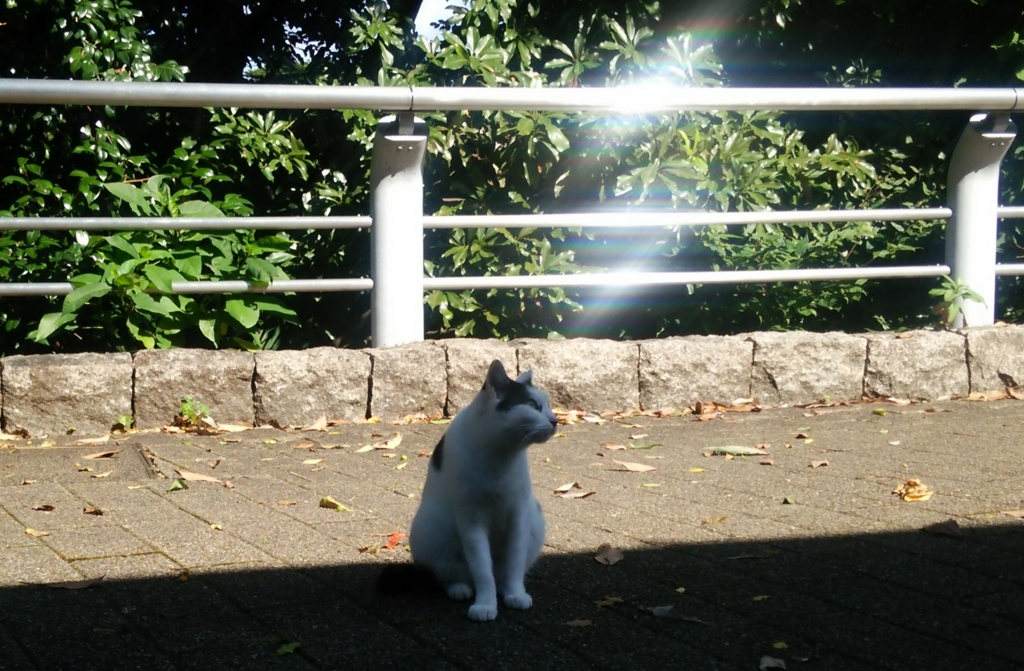 f:id:tarojiroko:20160830092430j:plain