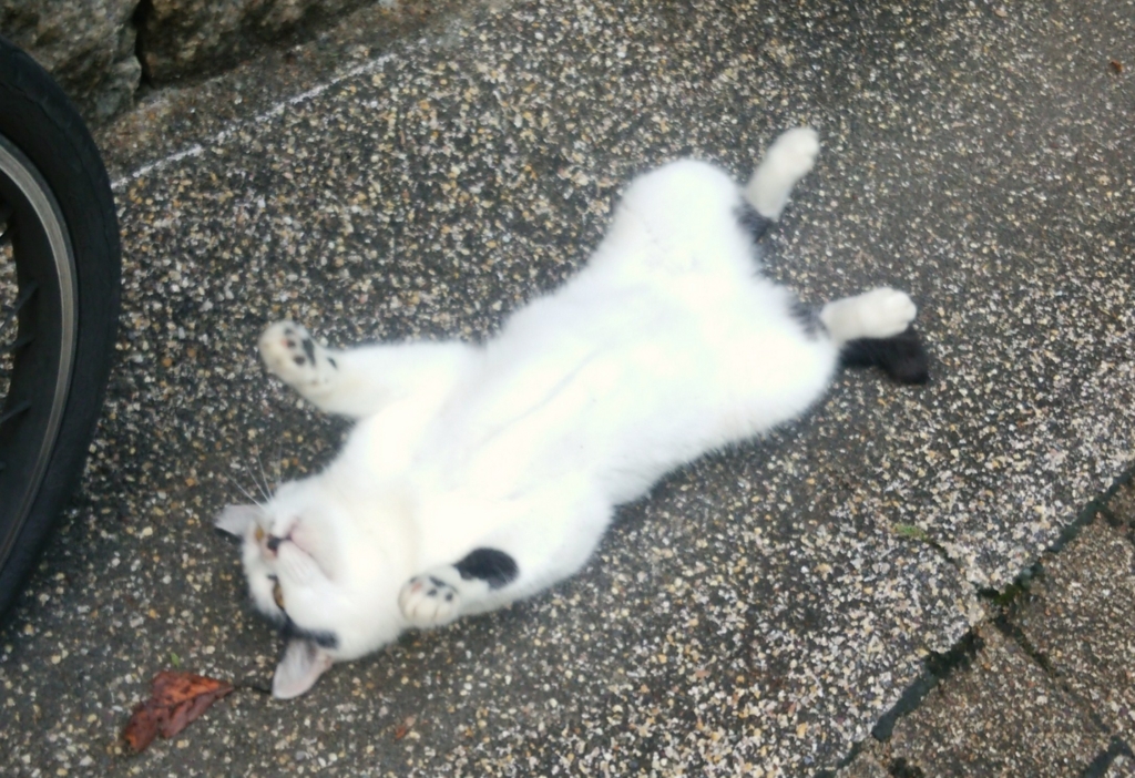f:id:tarojiroko:20160902100422j:plain