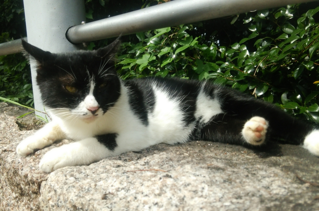 f:id:tarojiroko:20160903105304j:plain
