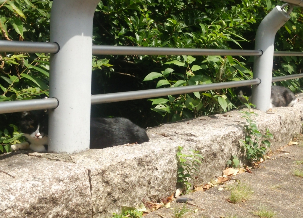 f:id:tarojiroko:20160903110342j:plain