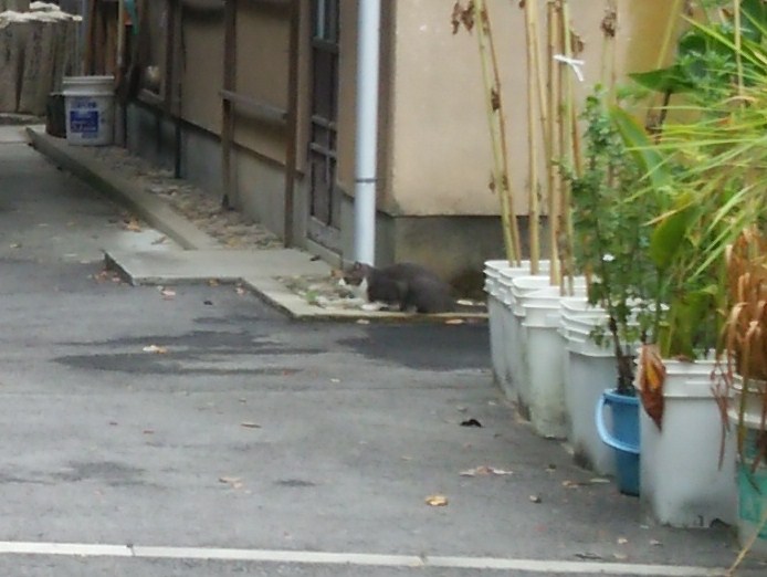 f:id:tarojiroko:20160904100041j:plain