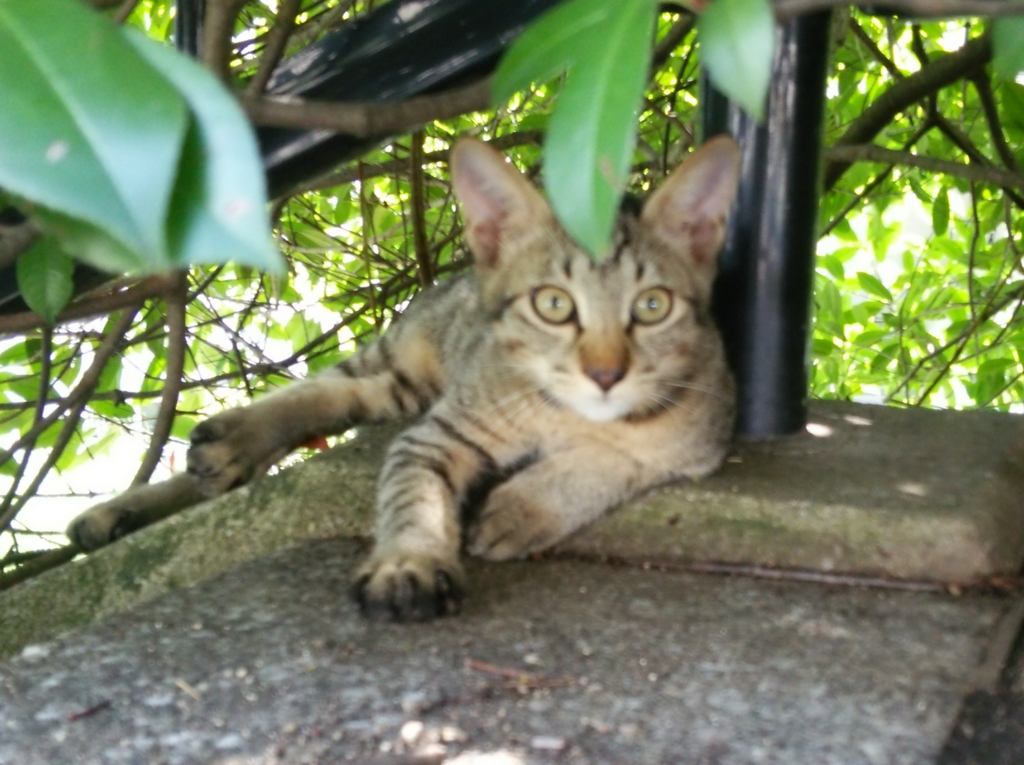 f:id:tarojiroko:20160906102415j:plain