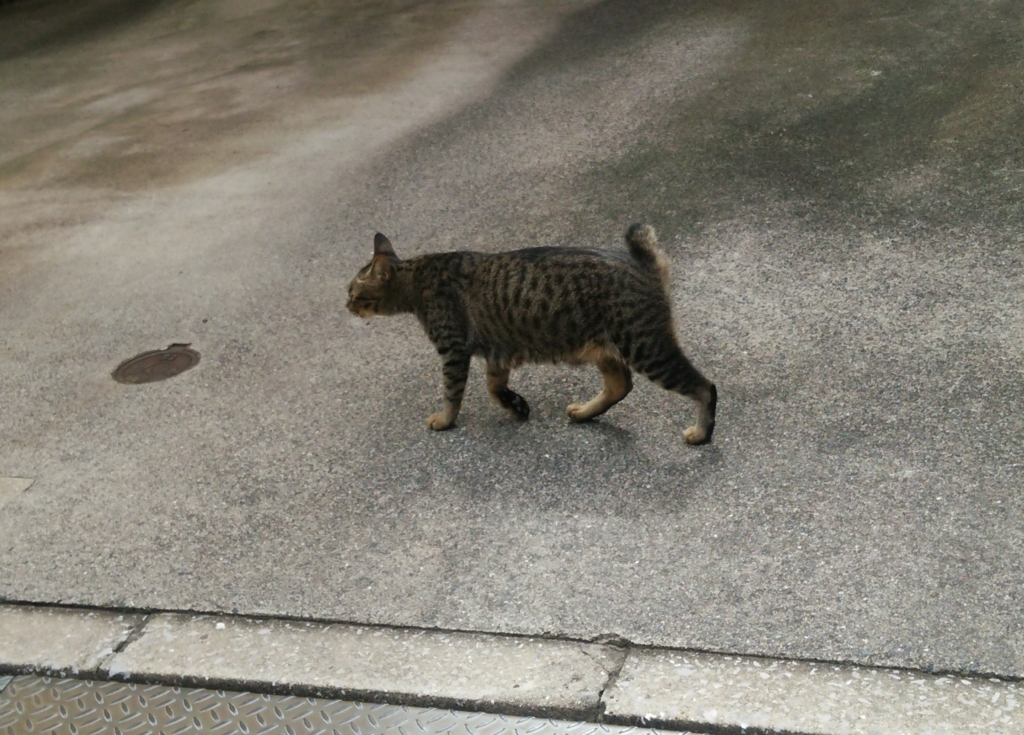 f:id:tarojiroko:20160921103913j:plain