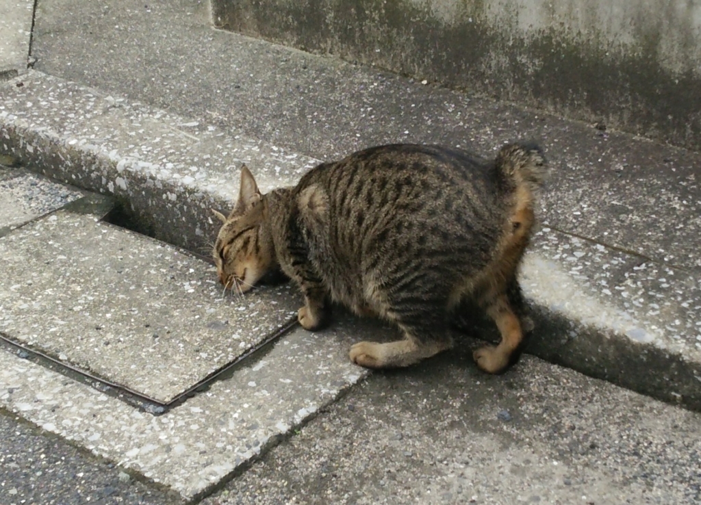 f:id:tarojiroko:20160921104036j:plain