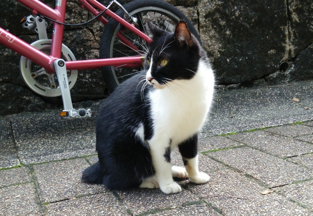 f:id:tarojiroko:20160923114838j:plain