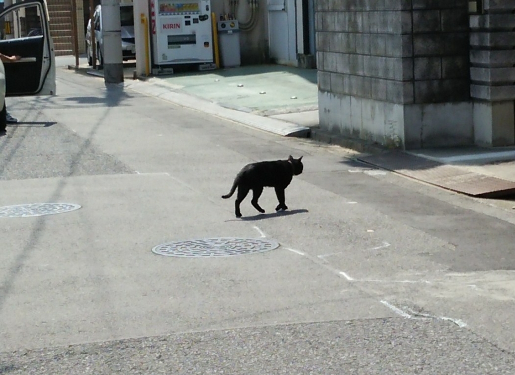 f:id:tarojiroko:20160924112848j:plain