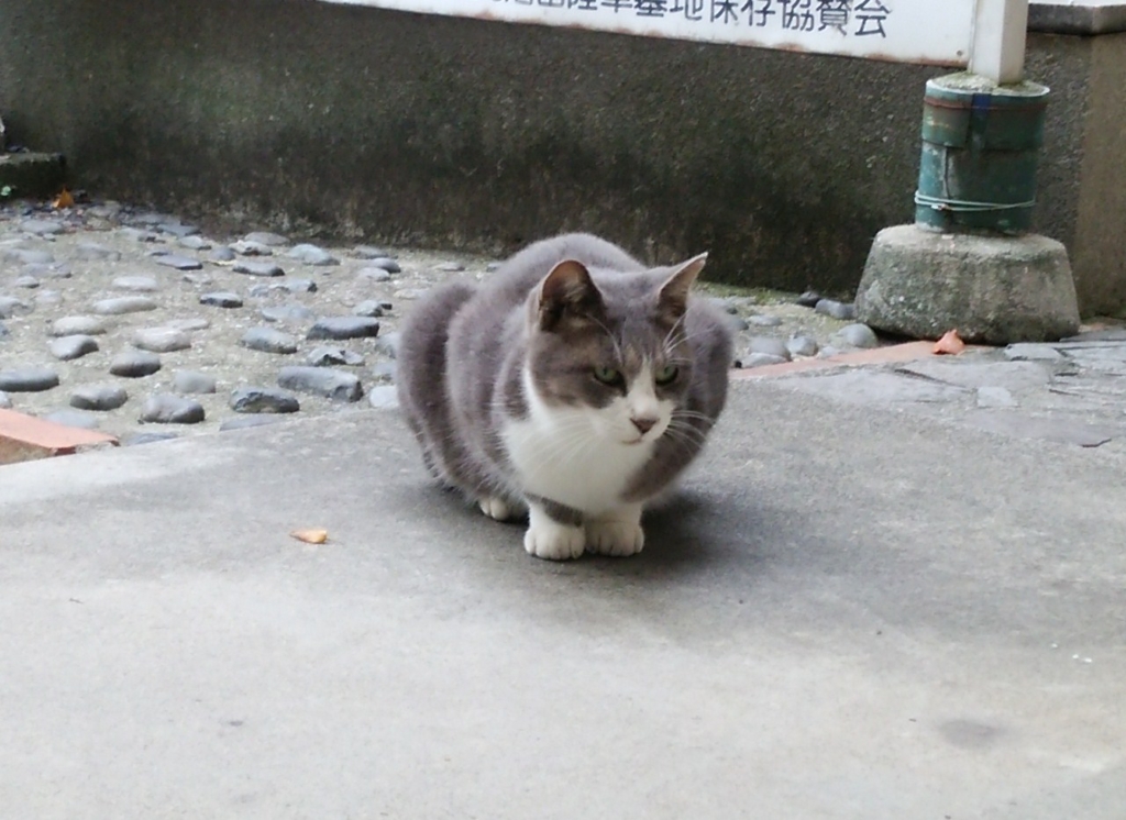 f:id:tarojiroko:20160925093750j:plain