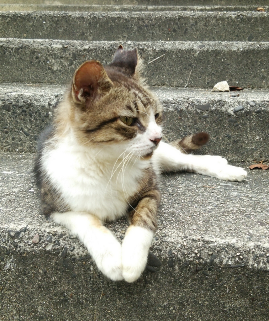 f:id:tarojiroko:20160925095729j:plain