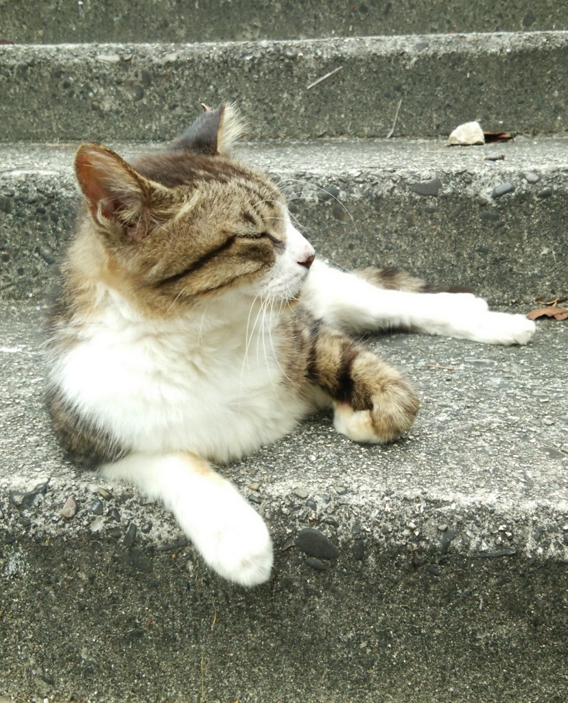 f:id:tarojiroko:20160925095759j:plain