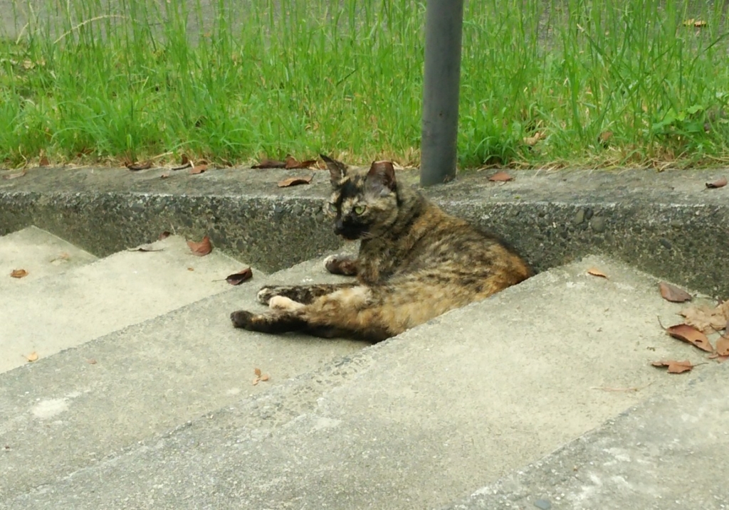 f:id:tarojiroko:20160925095931j:plain