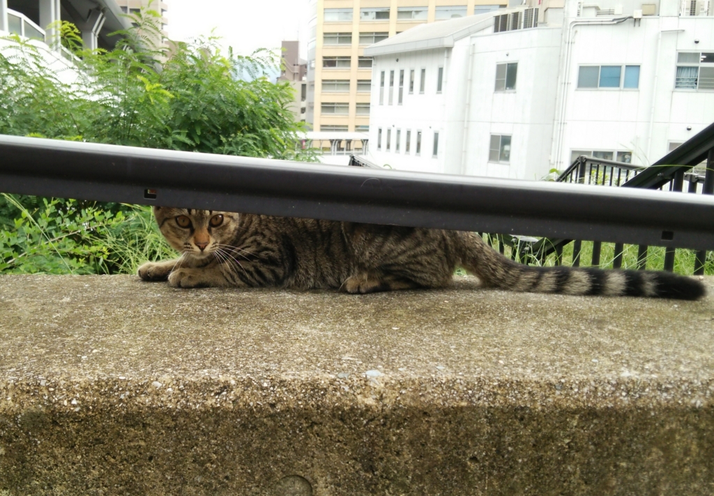f:id:tarojiroko:20160930112724j:plain
