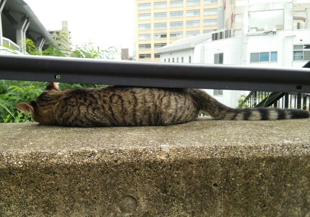 f:id:tarojiroko:20160930112735j:plain