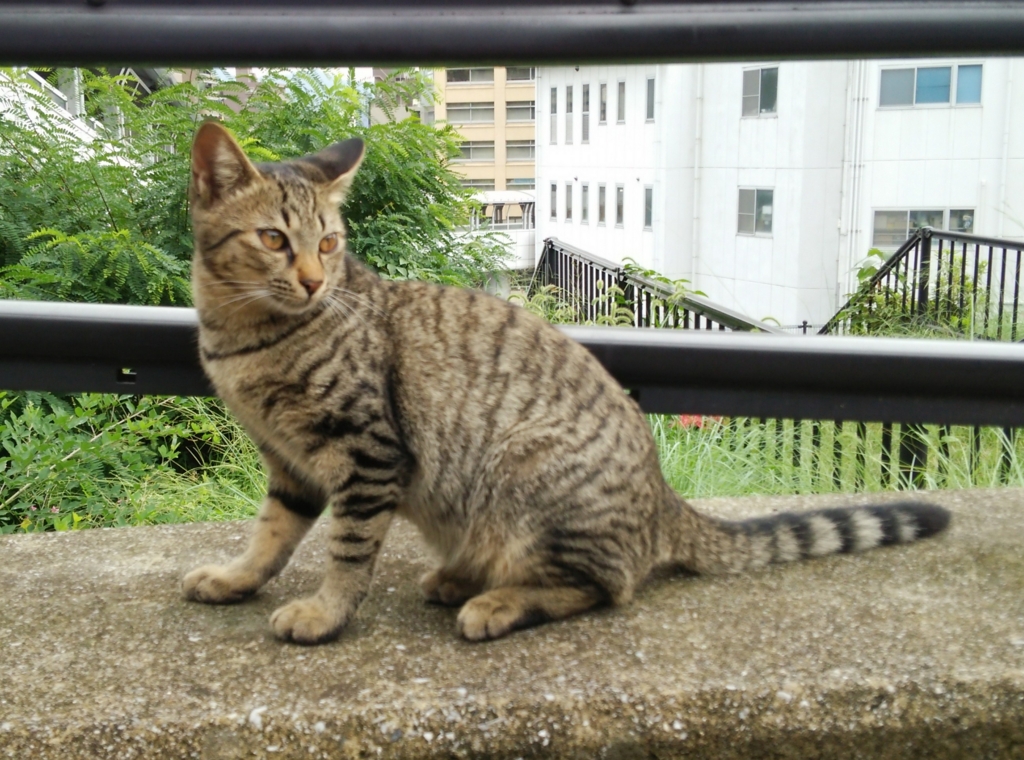 f:id:tarojiroko:20160930113010j:plain