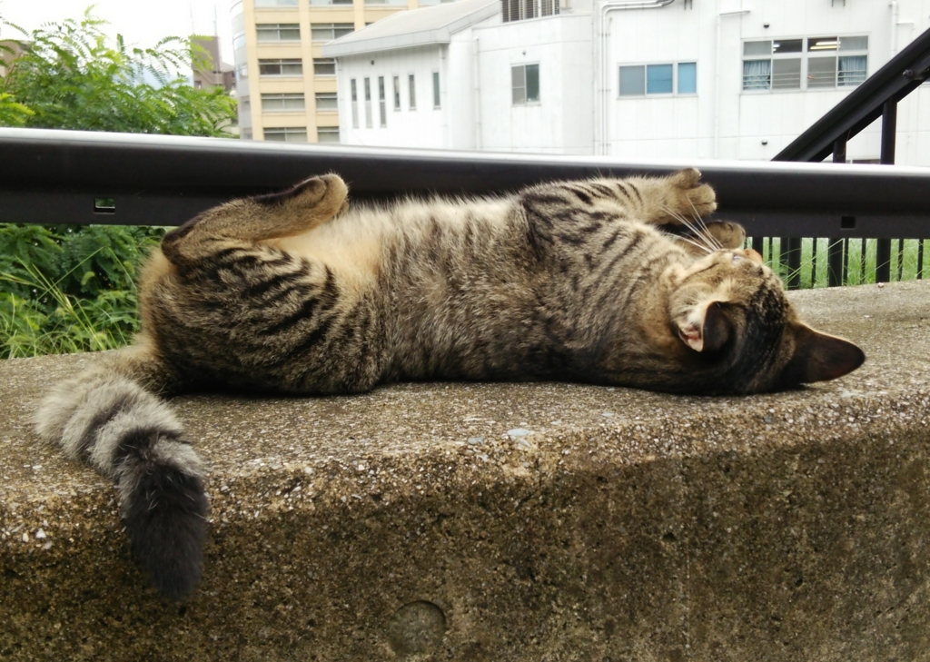 f:id:tarojiroko:20160930113140j:plain