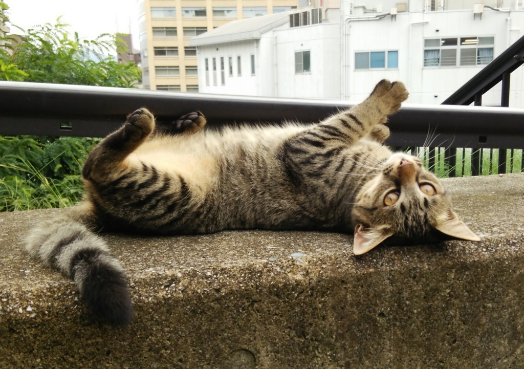f:id:tarojiroko:20160930113141j:plain
