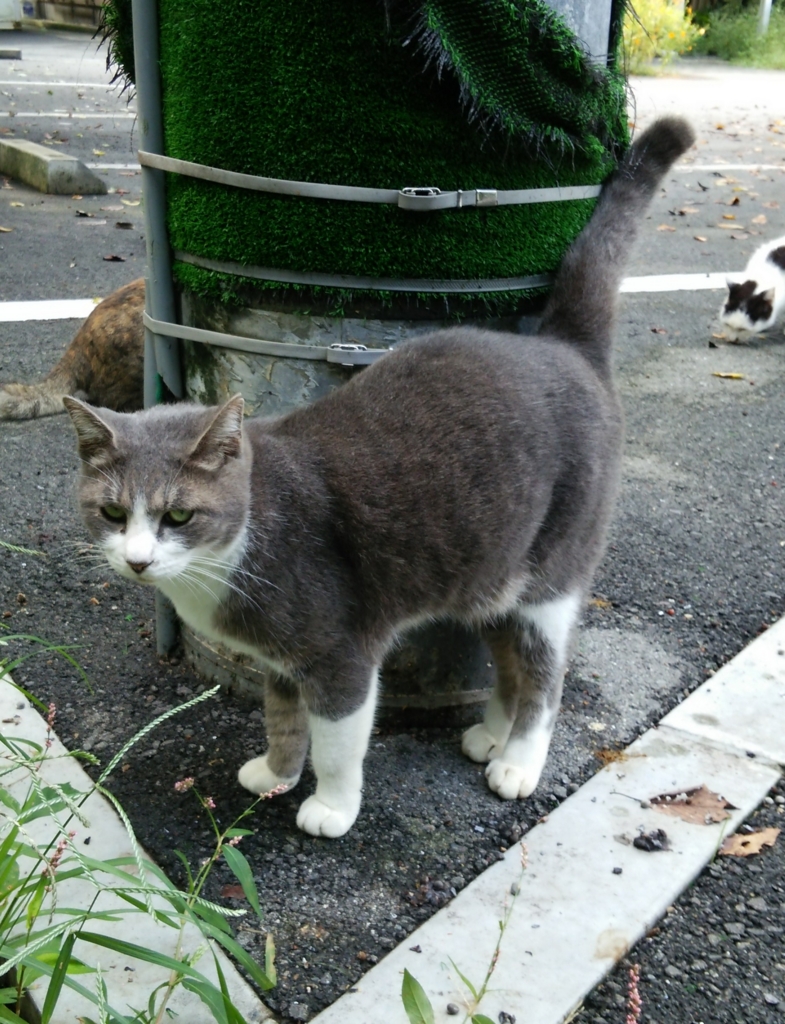 f:id:tarojiroko:20161002100239j:plain