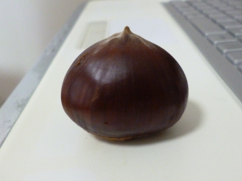 f:id:tarojiroko:20161010135308j:plain
