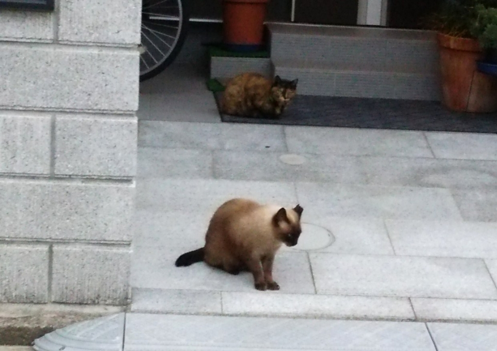 f:id:tarojiroko:20161011172921j:plain f:id:tarojiroko:20161011172921j:plain