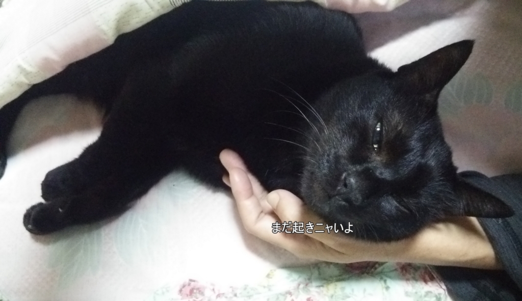f:id:tarojiroko:20161012062007j:plain