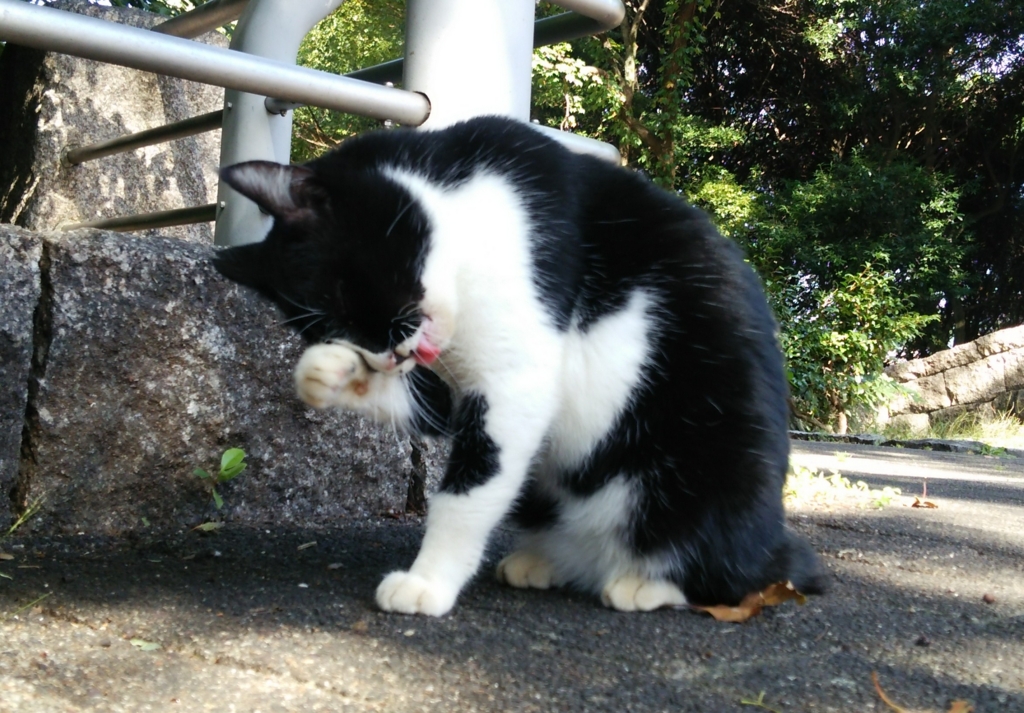 f:id:tarojiroko:20161015102940j:plain