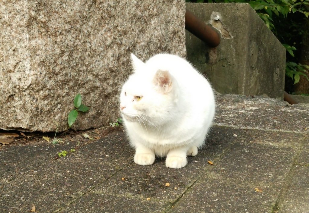 f:id:tarojiroko:20161025101243j:plain