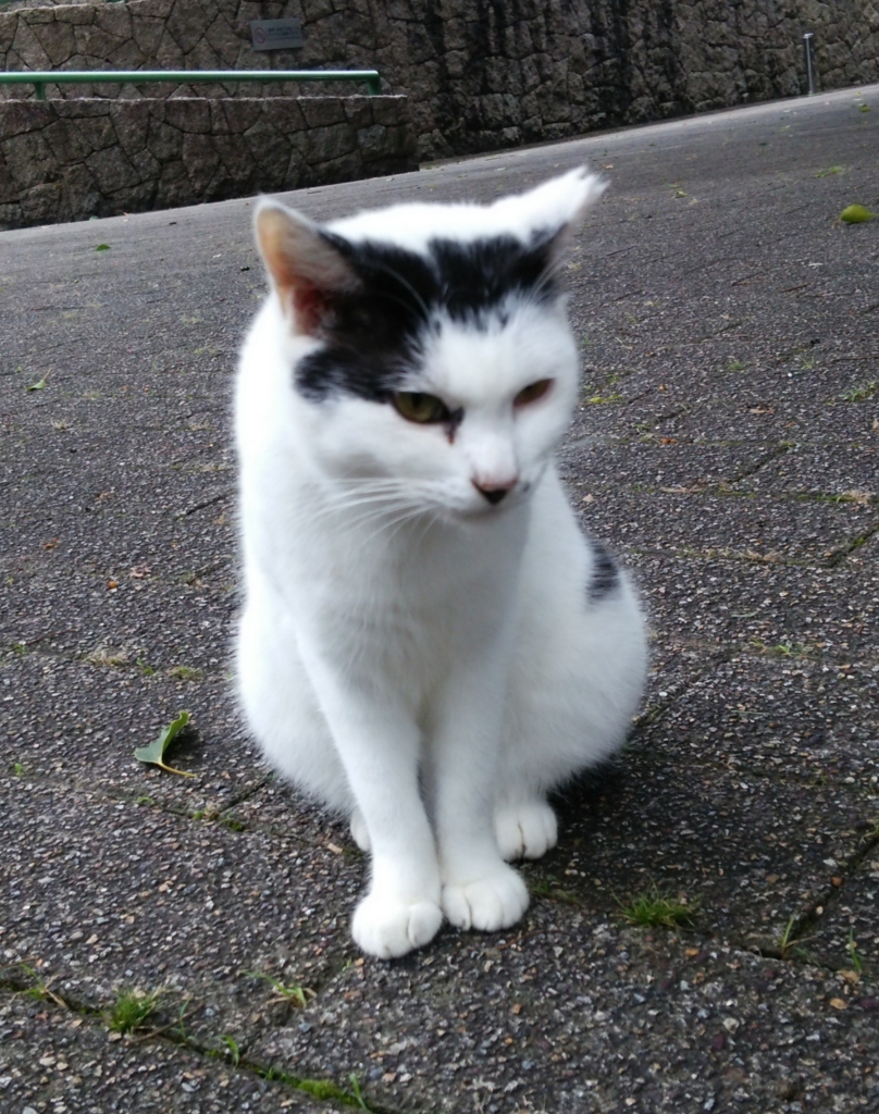 f:id:tarojiroko:20161026102101j:plain