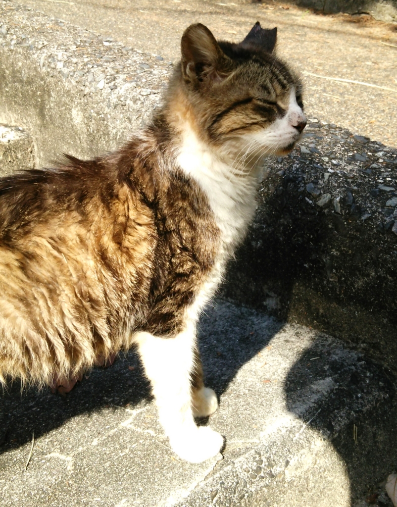f:id:tarojiroko:20161027102841j:plain