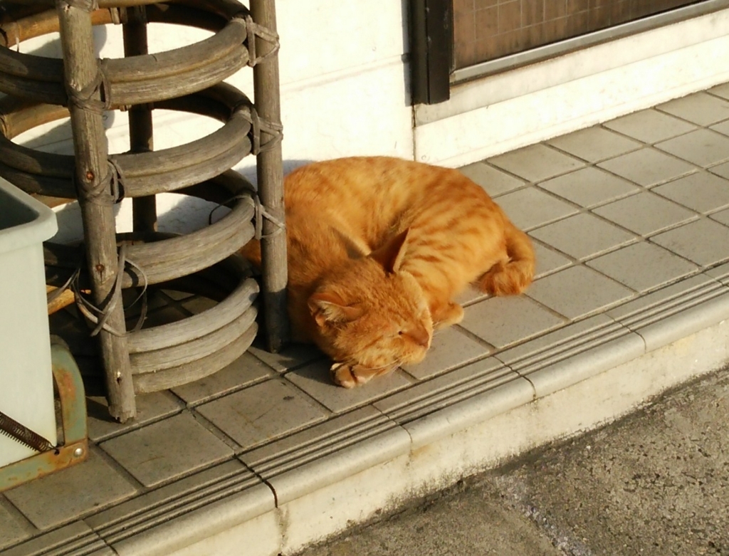 f:id:tarojiroko:20161112154248j:plain