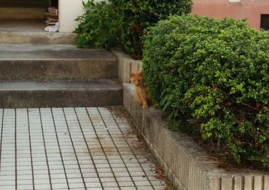f:id:tarojiroko:20161112154504j:plain