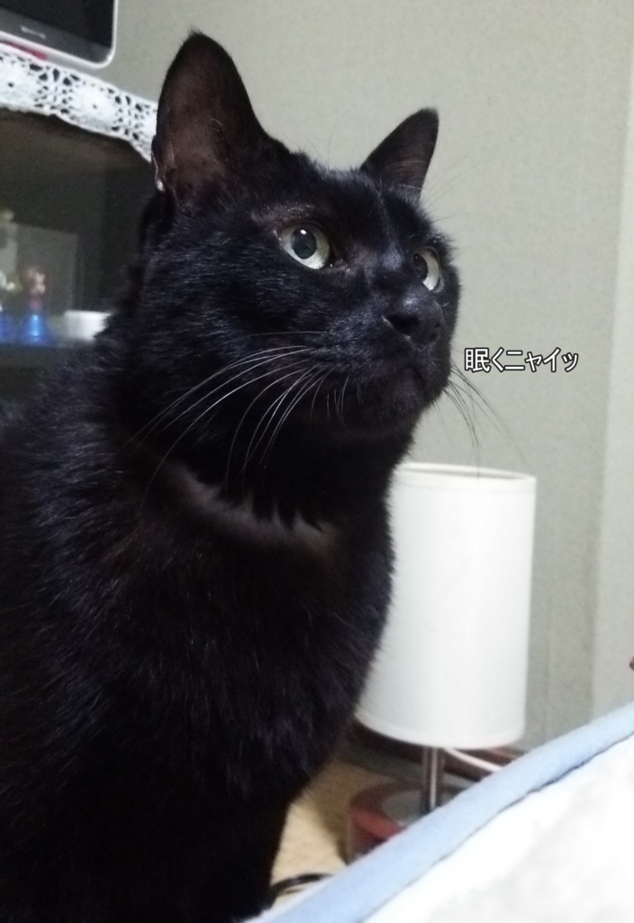 f:id:tarojiroko:20161129221530j:plain