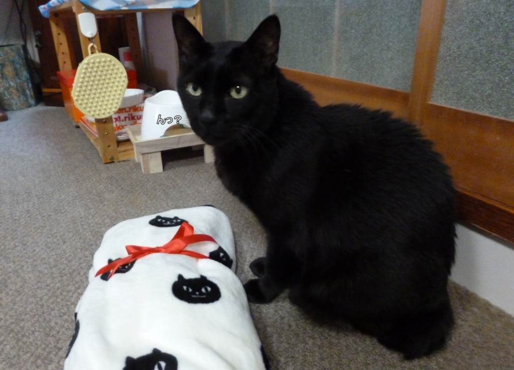 f:id:tarojiroko:20161225181649j:plain
