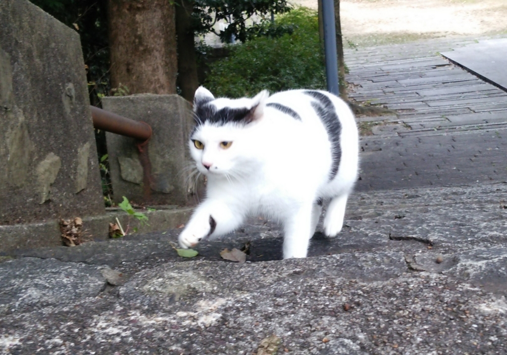 f:id:tarojiroko:20161230110257j:plain