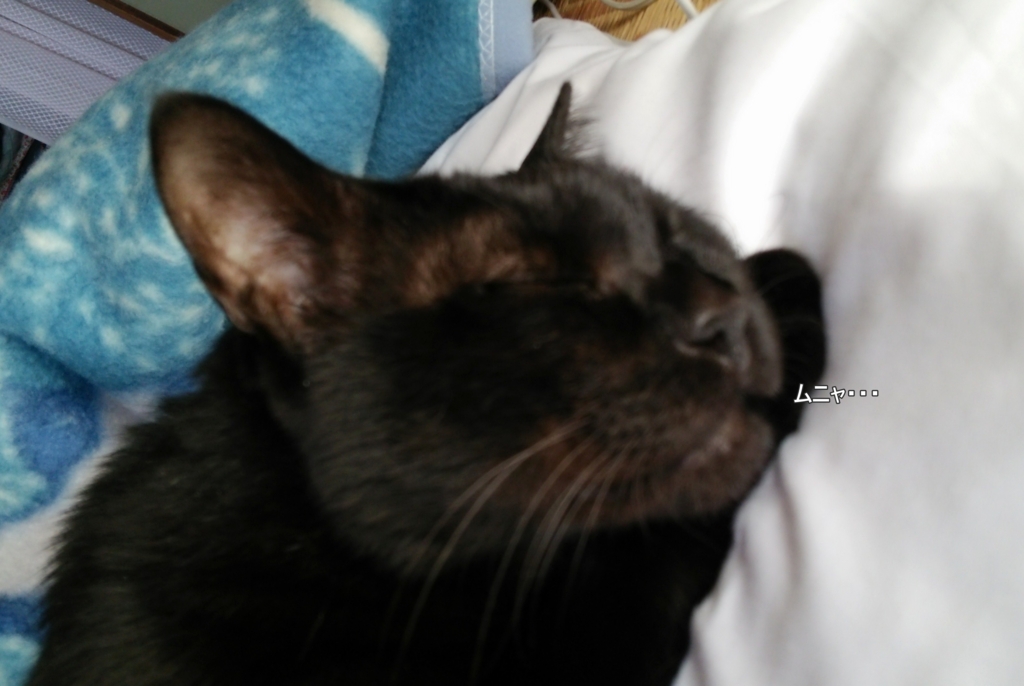 f:id:tarojiroko:20161230133415j:plain