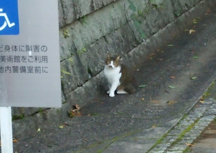 f:id:tarojiroko:20170101142518j:plain