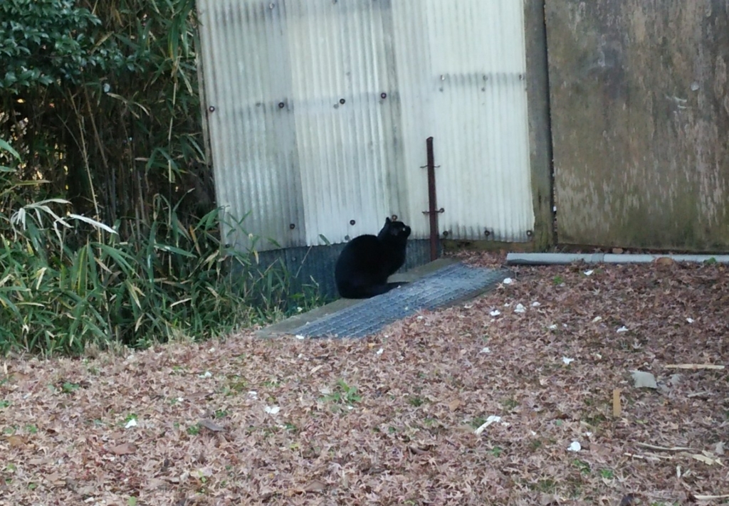 f:id:tarojiroko:20170105092507j:plain