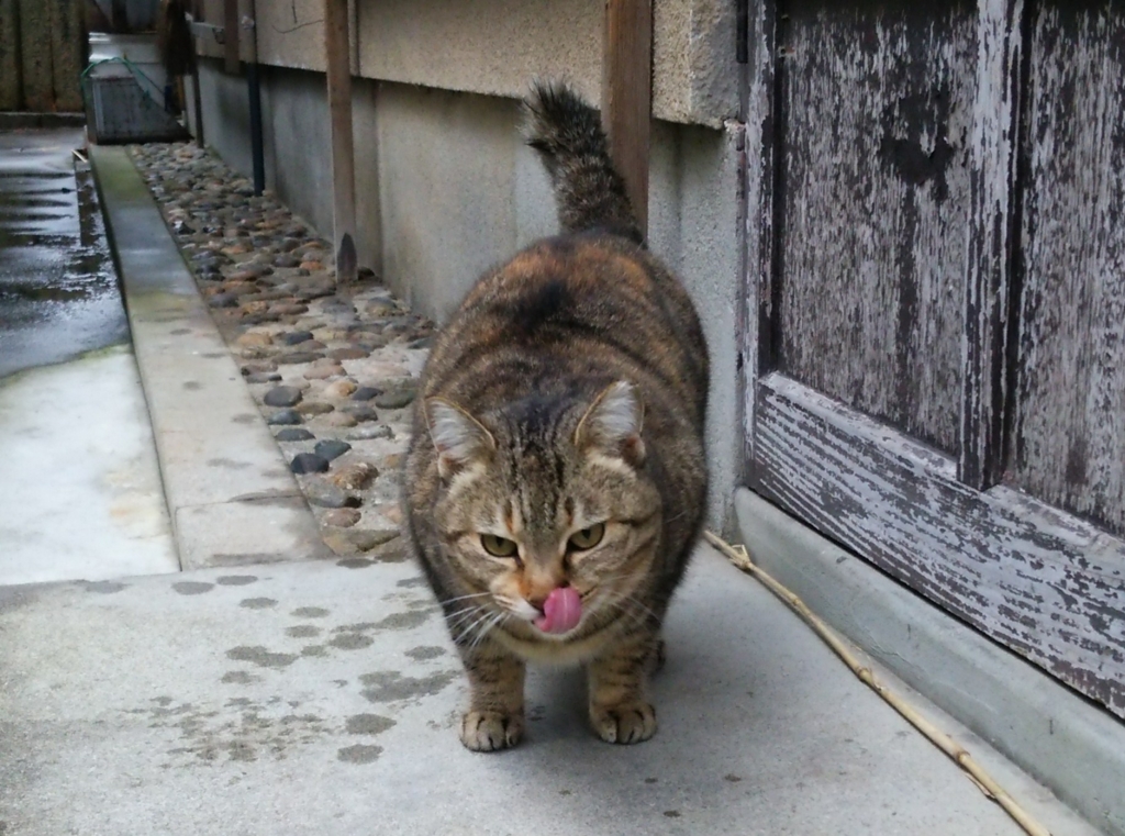 f:id:tarojiroko:20170108101633j:plain