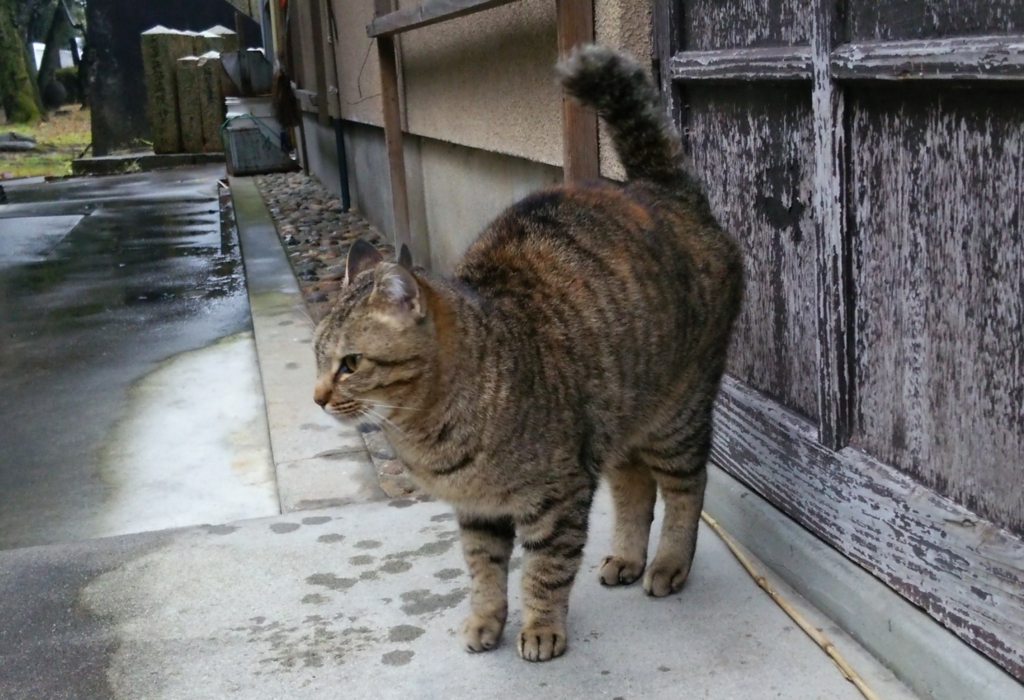 f:id:tarojiroko:20170108101636j:plain