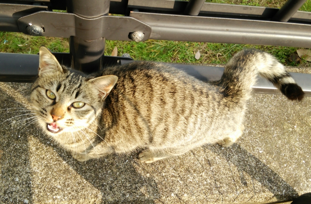 f:id:tarojiroko:20170109141913j:plain