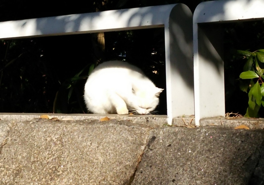 f:id:tarojiroko:20170118121231j:plain