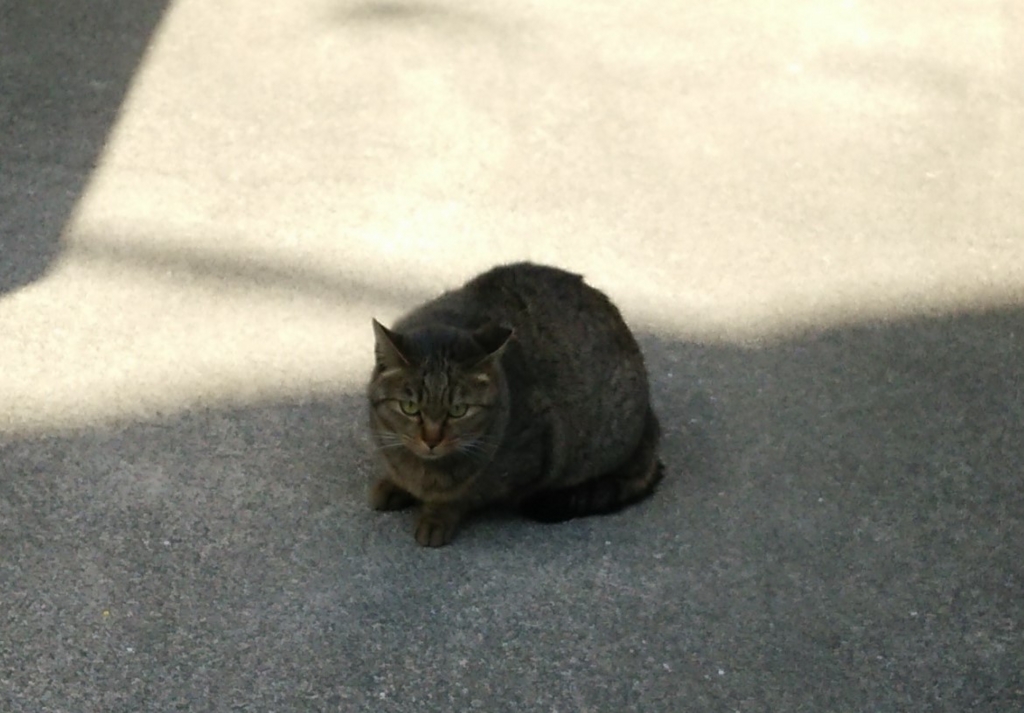 f:id:tarojiroko:20170118124931j:plain