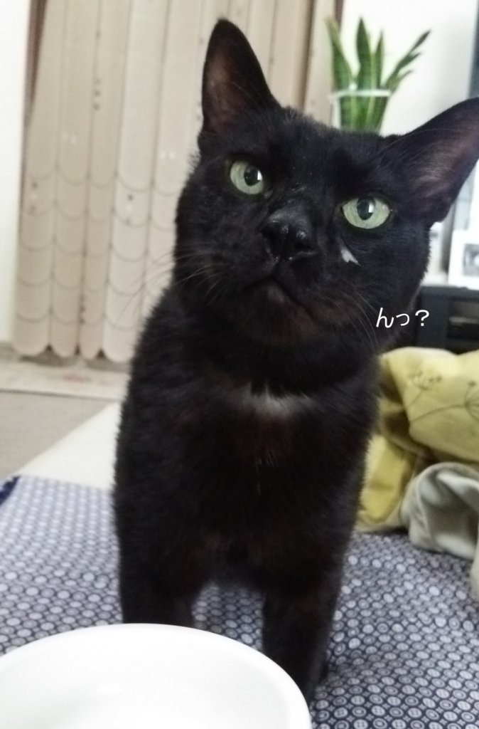 f:id:tarojiroko:20170201135735j:plain